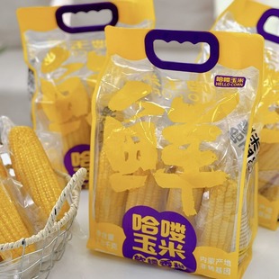 ���D���׼�ͥ�b���ɹ���Ŵ���׷��D�����rʳ�S����Ŵ���װ��ͶY