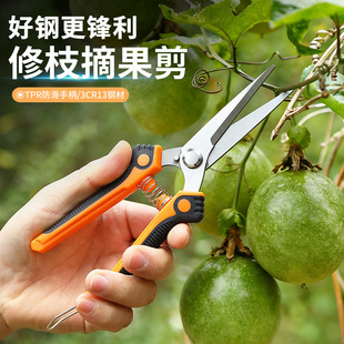 �@��ժ������ˇ��֦�����P䓈@�ֲ�ժ���Ѽ���֦����֦���r������