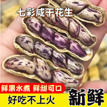 �ش��w������߲��̸ɻ���ˮ�������ִ�ˮ������ţ�̻�����ʳ�Թ�