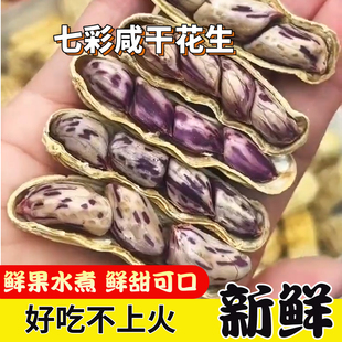 �ش��w������߲��̸ɻ���ˮ�������ִ�ˮ������ţ�̻�����ʳ�Թ�