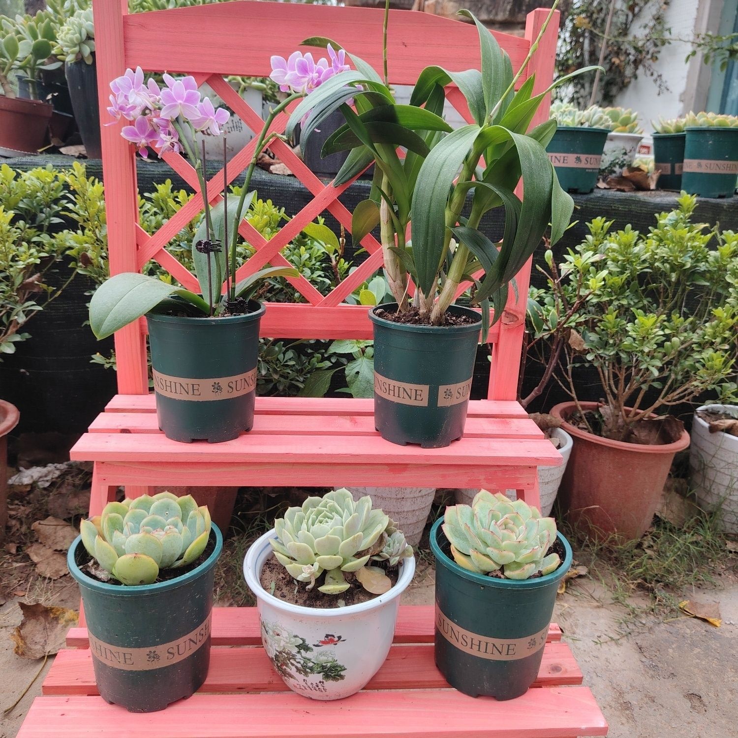 네트워크 사다리 꽃꽂이 레트로 레드