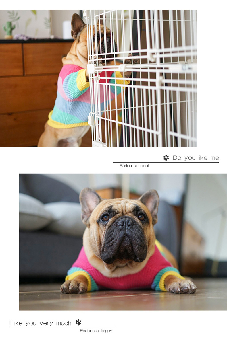 Rainbow Dog Sweater - Image 1