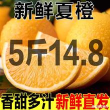 【秭归夏橙】10斤手剥橙子新鲜特级甜橙3当季水果冻橙包邮5/9斤
