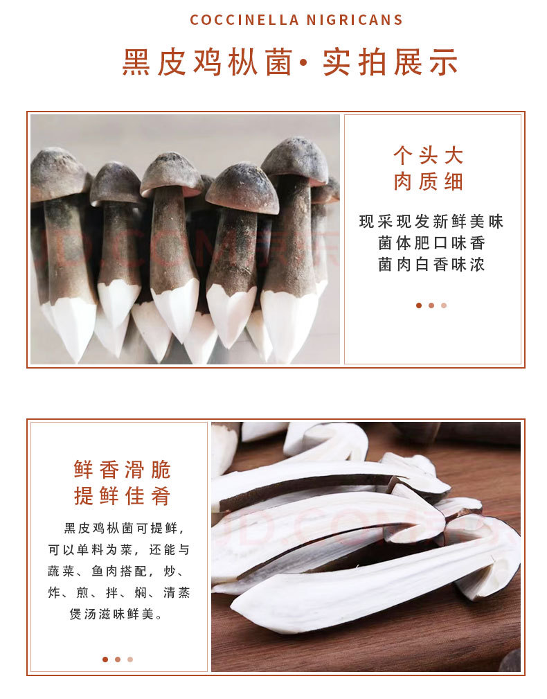 鸡枞菌详情页_04.jpg