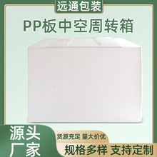 白色PP板中空周转箱 厂家批发蔬菜水果PP材质塑料防水周转运输箱
