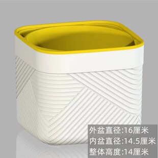 Thickened Plastic Absorbent Flower Pot Lazy Green Rose Transparent Flower Pot Cover for Chloromandii Potted Plant Indoor Non-watering Hydroponic Flower Pot