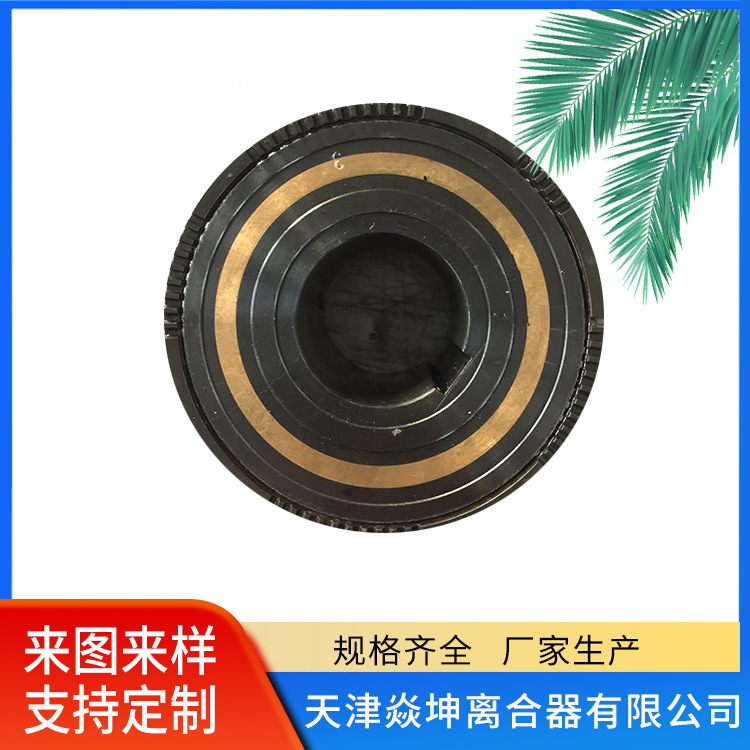 定位式牙嵌式电磁离合器---DLY3-25D--天津厂家直销