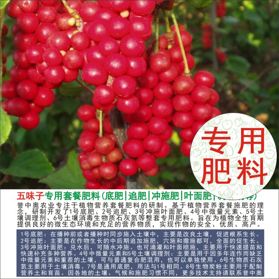 50�����а���ζ��ר���л��ʸ��Ϸʵ׷�׷��Ҷ��ʳ�ʩ��ˮ�ܷ�