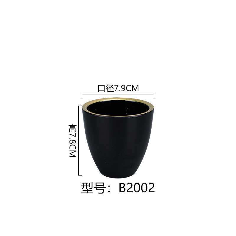 B2002*100 블랙 골드