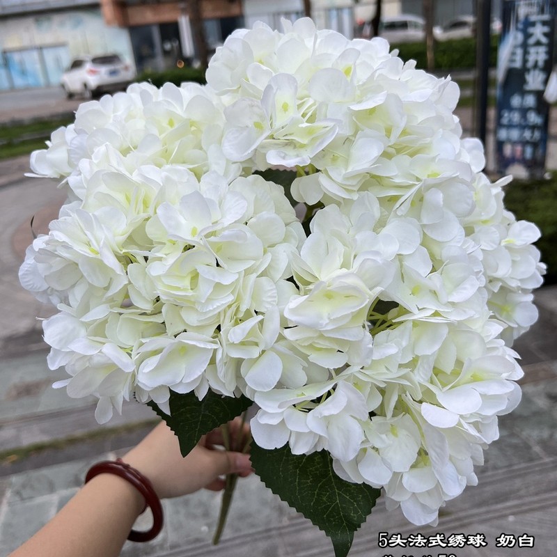 【シミュレーションアジサイ】外国貿易5頭フランスアジサイグリーンフランスアジサイ平が結婚祝いの花卸売りをしている|undefined
