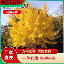 һlyӘԽ~׹ϱNֲeͥԺGL