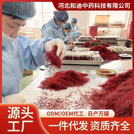 其他药食同源;藏红花;代用/养生茶