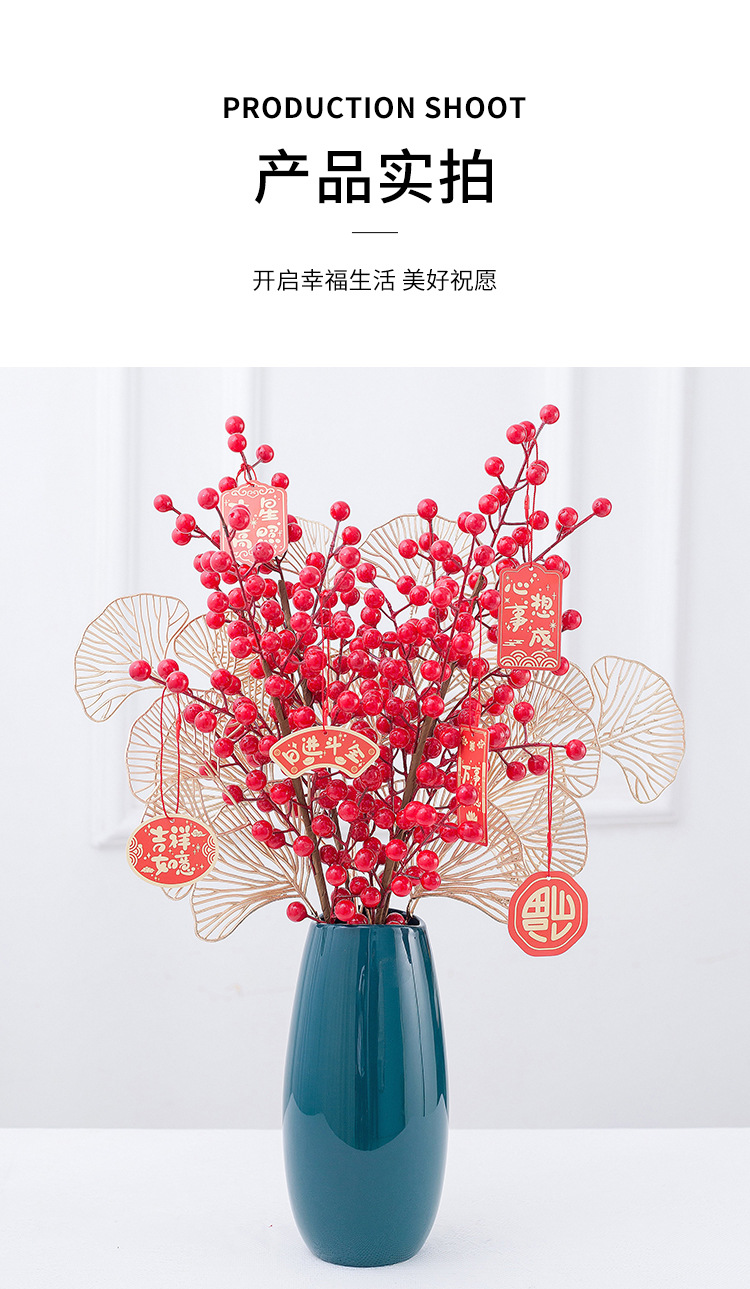 花瓶发财果详情_11