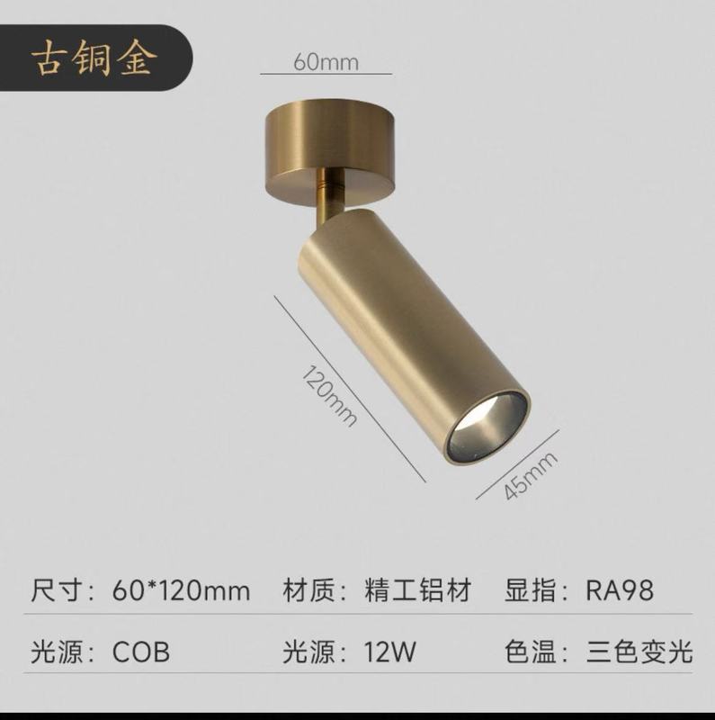明装叠可调角度极简中古风锈钢电镀led家用背景墙防眩射灯|undefined