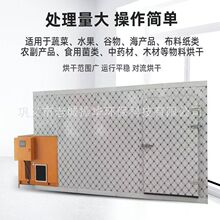 �՚�����轺�əC�ߜ؟�ø����O����ș�ĸ���۹��ع�Ƥ����O��