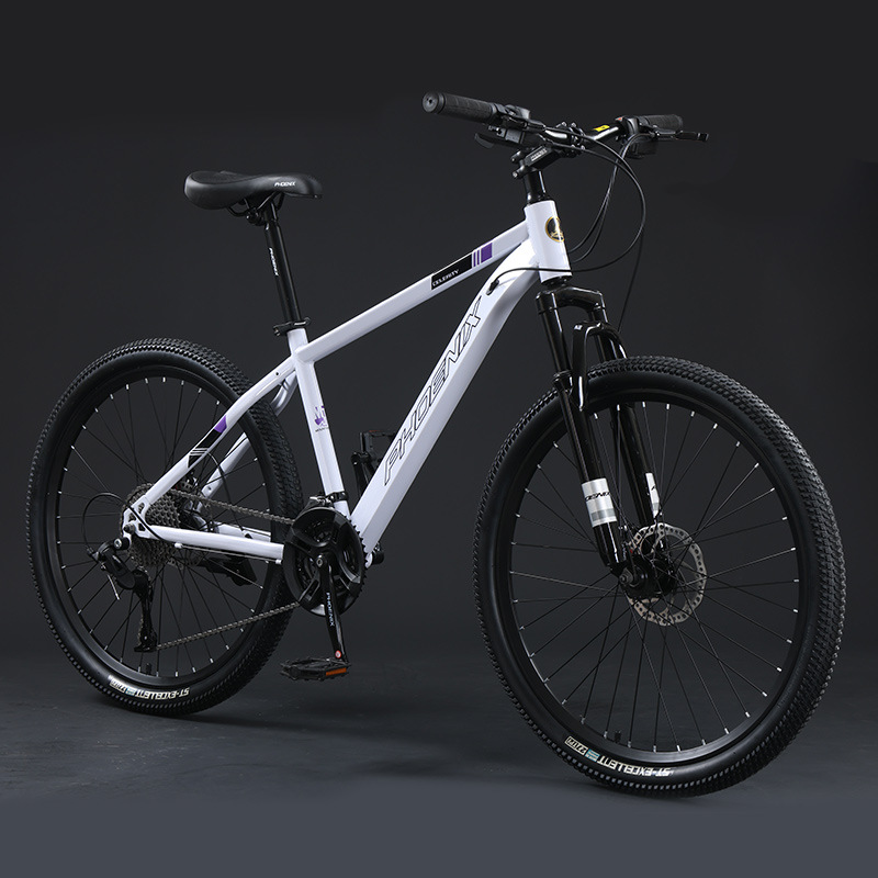 Steel Frame Spoke Wheel-White Purple-24 Inch-24 Speed