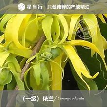 �ЙC���mһ�������R�_��˹���M����޹������Ħԭ�����l�������X