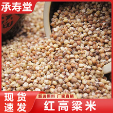 正宗东北老式笨红高粱米去皮红高粱米新米新鲜农家杂粮红高粱米饭
