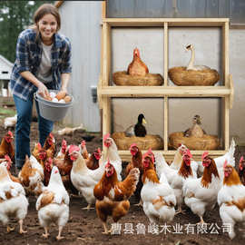 跨境木质鸡巢箱户外小鸡繁殖箱家用多格母鸡孵蛋箱鸡巢母鸡窝鸡舍