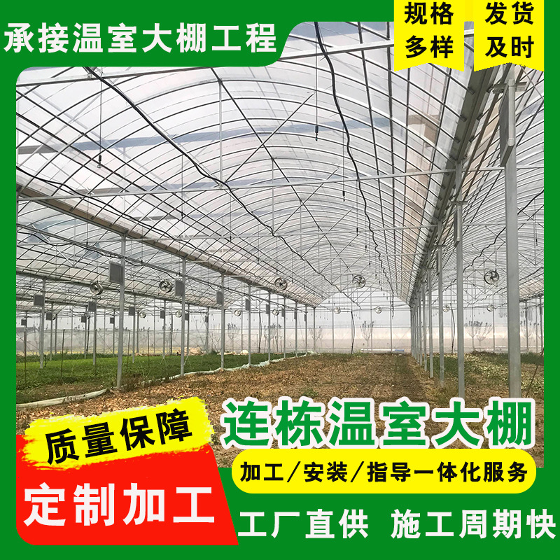 连栋大棚