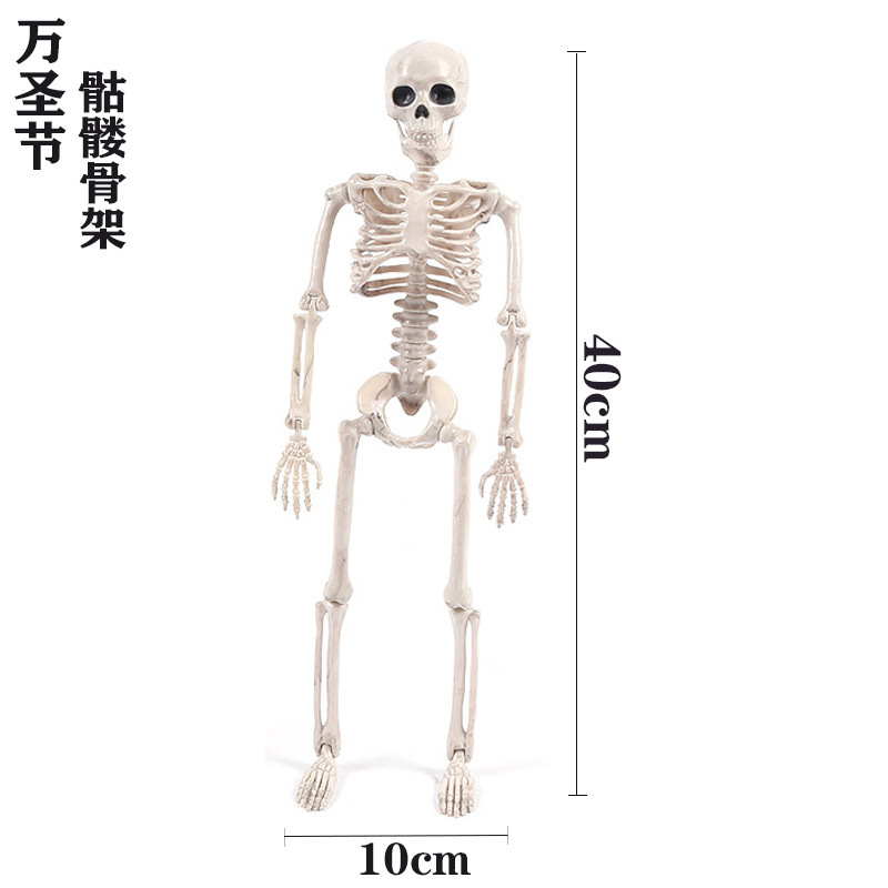 ハロウィーン頭蓋骨格シミュレーション人体プラスチック骨格鬼新郎新婦カップル人体骨格装飾道具|undefined