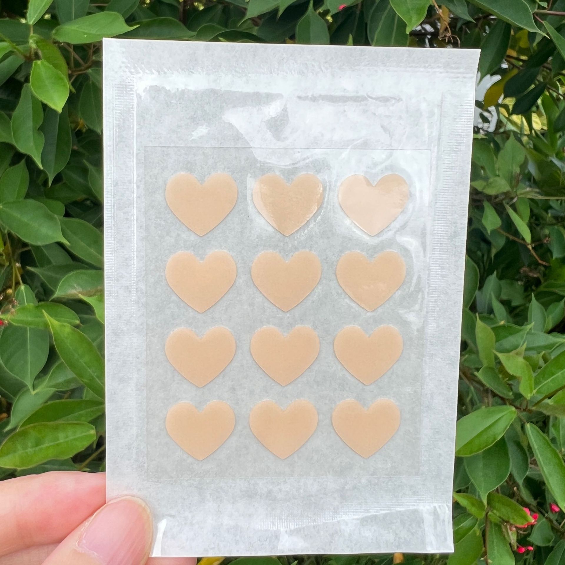 러브 12캡슐 종이 비닐봉지