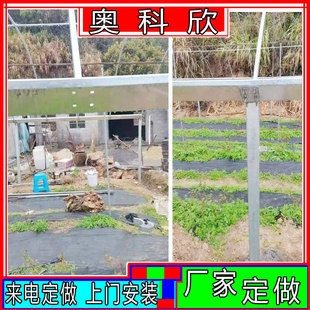 ���Ҵ���Ǽ���\���߲˷Nֲ�����Bֳ����E�A�ܴ���֧�����䓼�