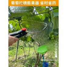 陽光玫瑰浸果杯膨大獼猴桃霧化噴頭葯液拉穗器浸果器黑加侖