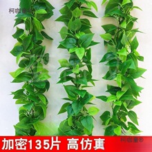 ��ˮ�����ړ��b��{��ˮ�ܾGֲ�p�@���ϼٻ������ڳ��l����̫��