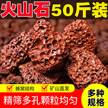 天然火山石颗粒鱼缸造景底砂专用滤材火山岩花盆兰花多肉乌龟大块