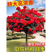 �䘶�¼��ش󻨶༾�_�����õ��������¼����Ϙ����玧��������