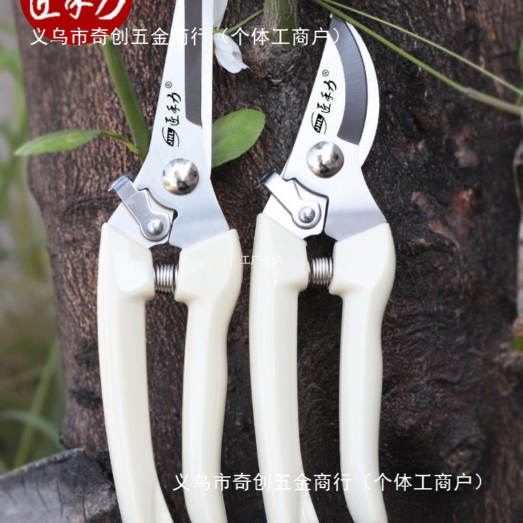 不锈钢园林园艺修枝剪家用省力修花修剪树枝花艺罗缘