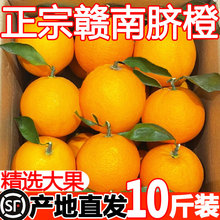 江西赣南脐橙产地直发斤礼盒正宗赣州果冻橙子新鲜包应季水果