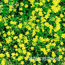 l²ί˷N |Ĳݻ ײ ^ί