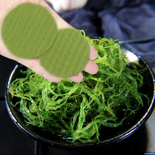 鞭炮笋海笋长寿菜凉拌菜海草藻菜火锅食材鞭泡笋盐渍马尾藻羊栖菜