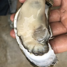 ��ɽ����ش�һ������տ���r��10������r���rĵϠˮ�a�������l