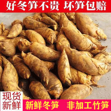 ���r���S2024������ɽ�S��SҰ��������S�F�ڶ��S��S���ʳ��