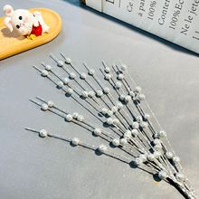 ʥ����װ�ο��Ĺ������ڷŽ�۽����ٻ��ɶ���Ʒ�廨����ʥ����