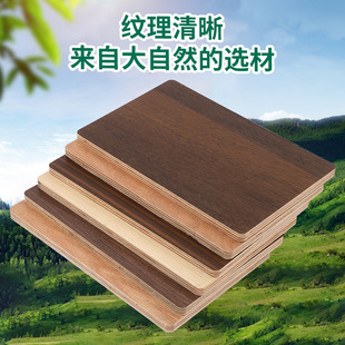 ���ư�������z�ϰ��Ϟ��̴���������z�ϰ�Ҿ߰���Ӱ��N���