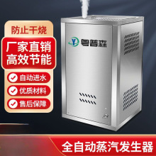 商用天然气蒸汽发生器燃气液化气节能蒸汽机豆腐酿酒煮浆馒头锅炉