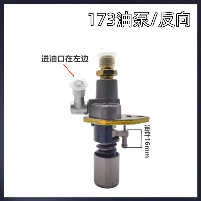 Conjunto de boquilla de bomba de inyección de combustible de accesorios de Sierpe diesel refrigerado por aire 173F178F186FA192F195 inyector de combustible