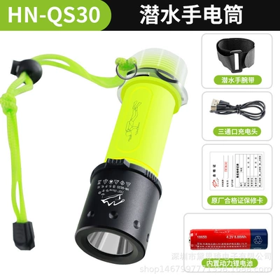 deep-sea diving, night diving, fishing, UV fənərlər