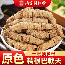 �Ͼ�ͬ���ð�������� ��ș�İ���� ������ �oѬ�����