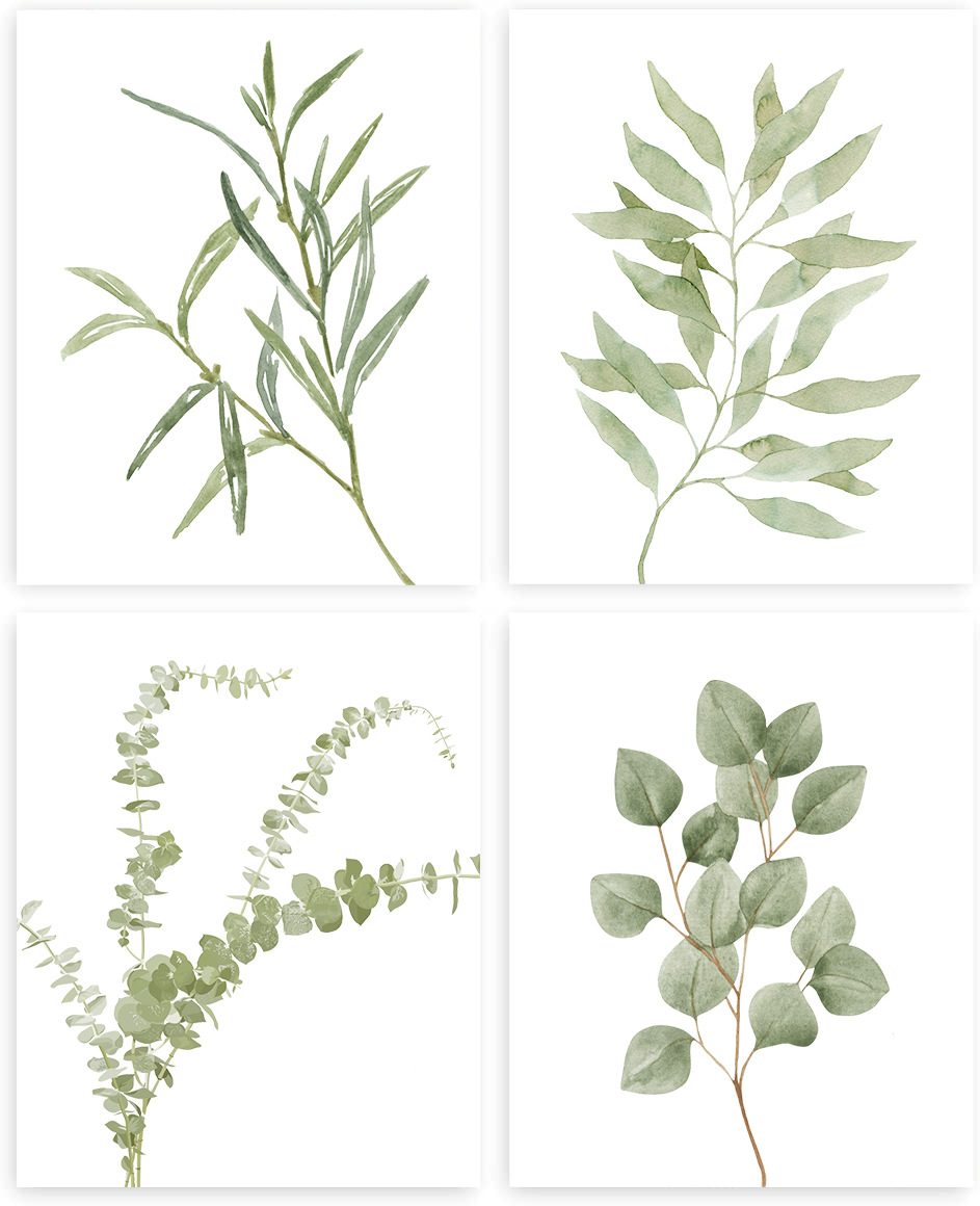 Botanical Plant Wall Art Print