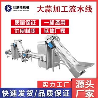 蒜米深加工流水线 定制大蒜分瓣脱皮设备 定制大蒜深加工流水线