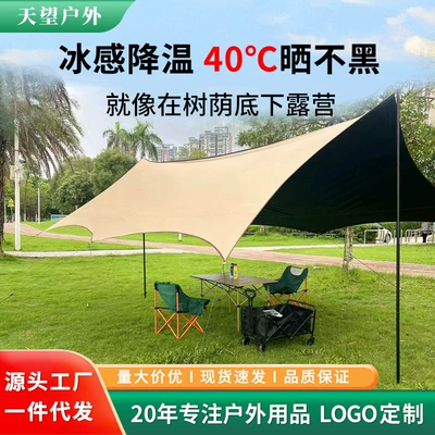 Canopy Tent Outdoor Camping Sunshade Hexagonal Black Glue Thickened Tarp Sun Protection Waterproof Picnic Gear