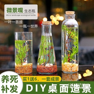 ���Bƿ�~΢���^���R�~���~��Qˮ�������˾�YƷ����_�I�쾰�~��