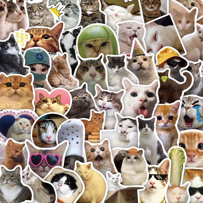50 Internet Celebrity Cat Expression Packs, Funny Abstract Stickers, Creative DIY Notebook Mobile Phone Water Cup Waterproof Stickers