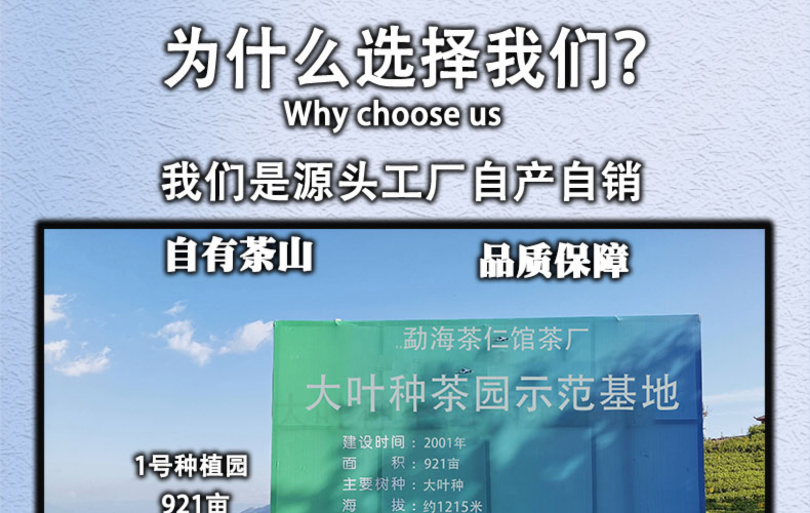 hmqViviiyNSAyin9WuaXtxwb15/f/L/iEYSg