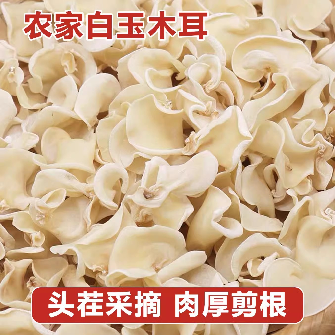 [계절선택] 흰곰팡이 500g//도매포장